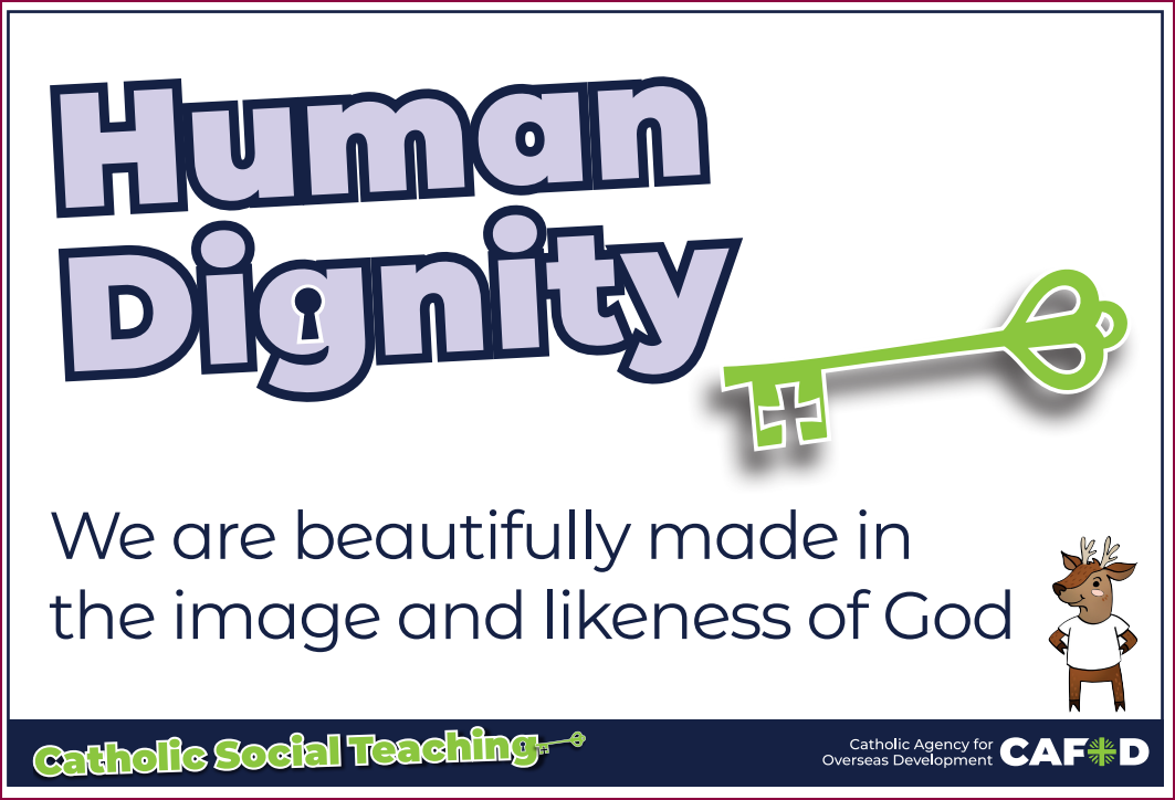 Screenshot 2025-11-11 094921