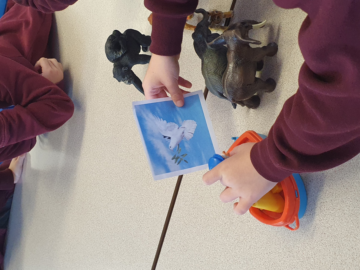 20251002_115437 20251002_115437