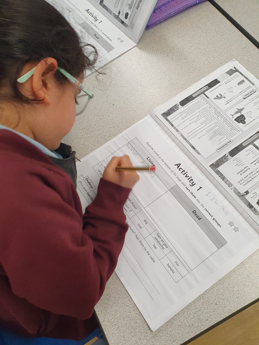 20251201_140927 20251201_140927