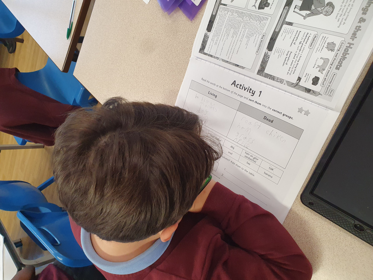 20251201_141058 20251201_141058