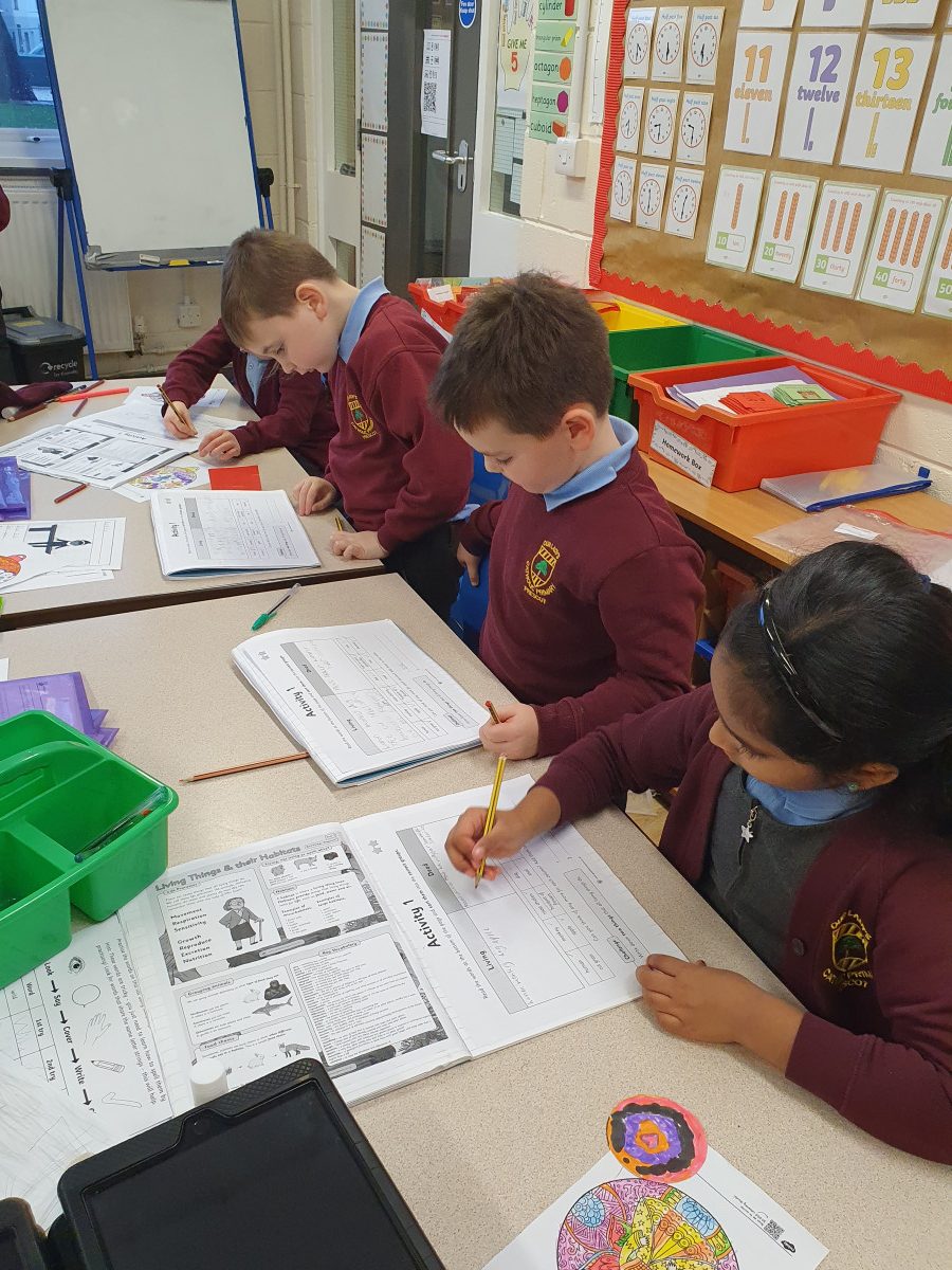 20251201_141118 20251201_141118